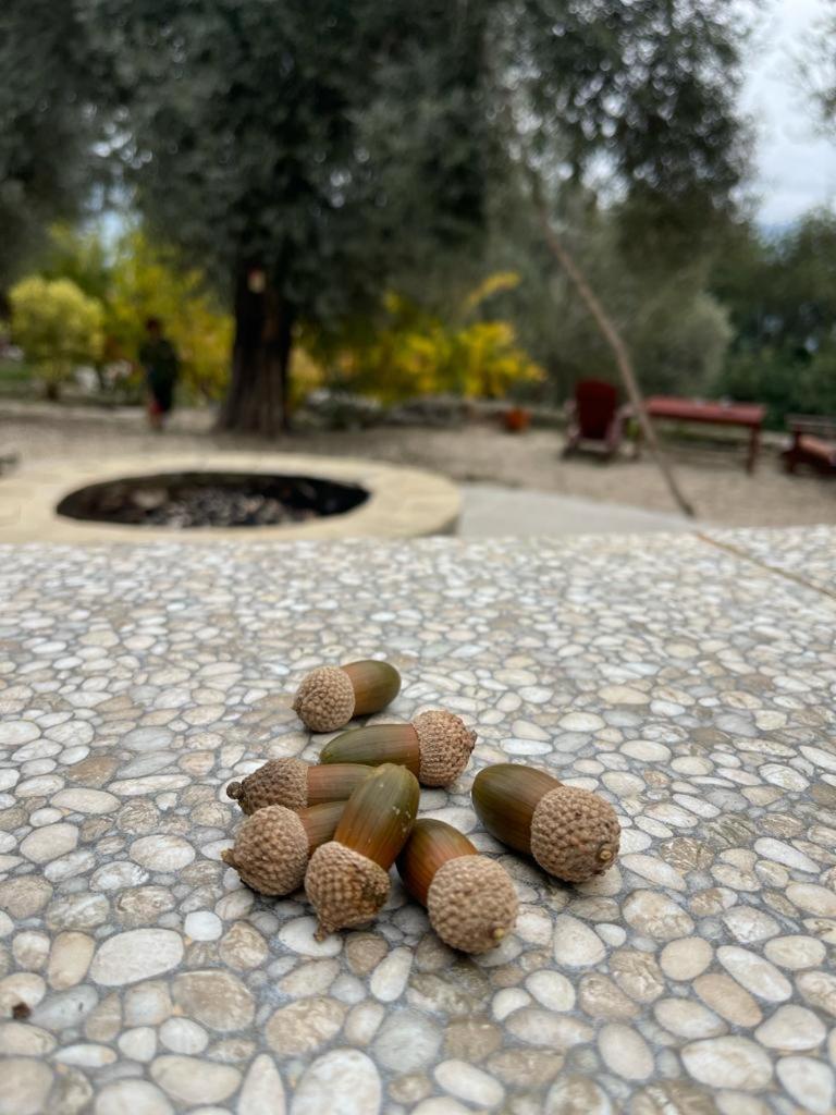 Antalya Bodrum Kayasi Dag Oteli Hasdumen Exteriör bild
